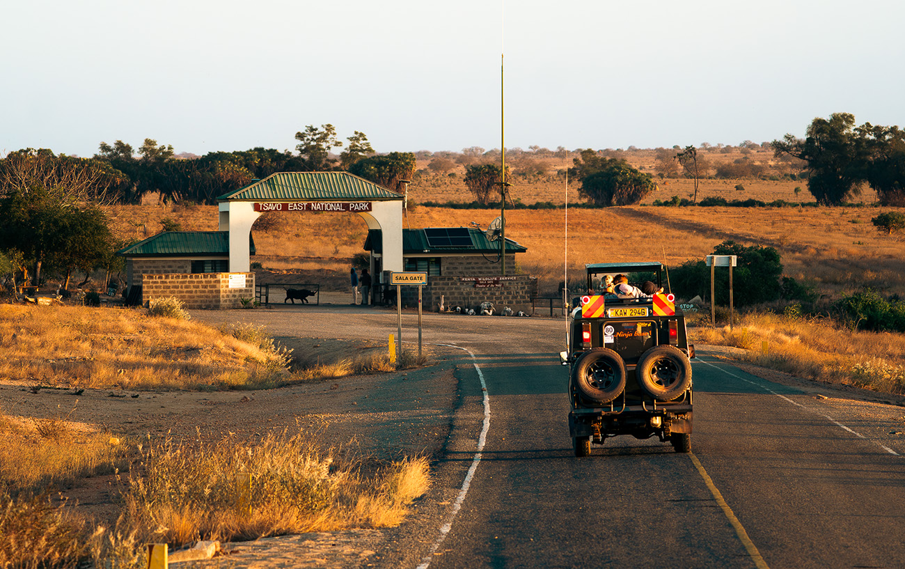 Safari Parco dello Tsavo